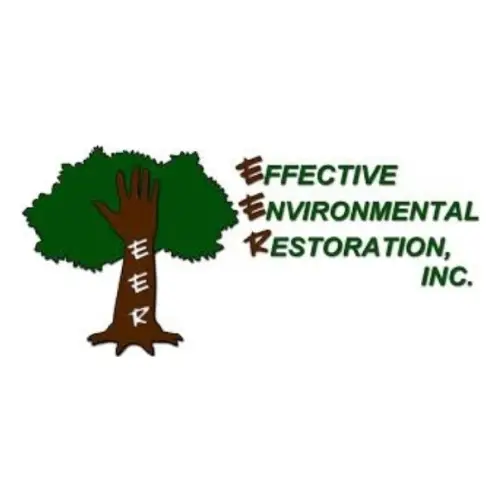 Effective Environmental Restoration